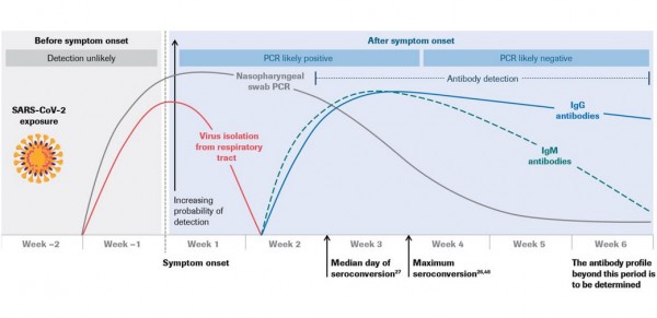 performance graph