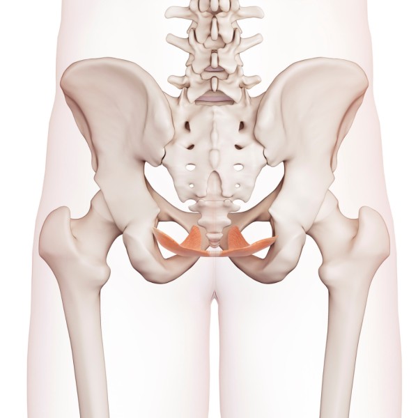 Image for Pelvic Health