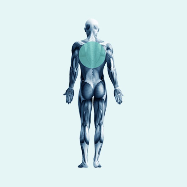 Image for Back Clinic