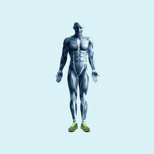 Image for Strength and Conditioning Clinic