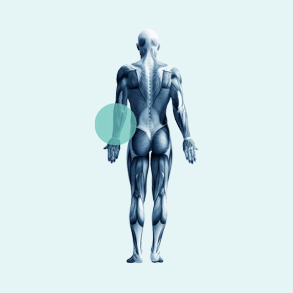 Image for Arm, Wrist & Hand Clinic